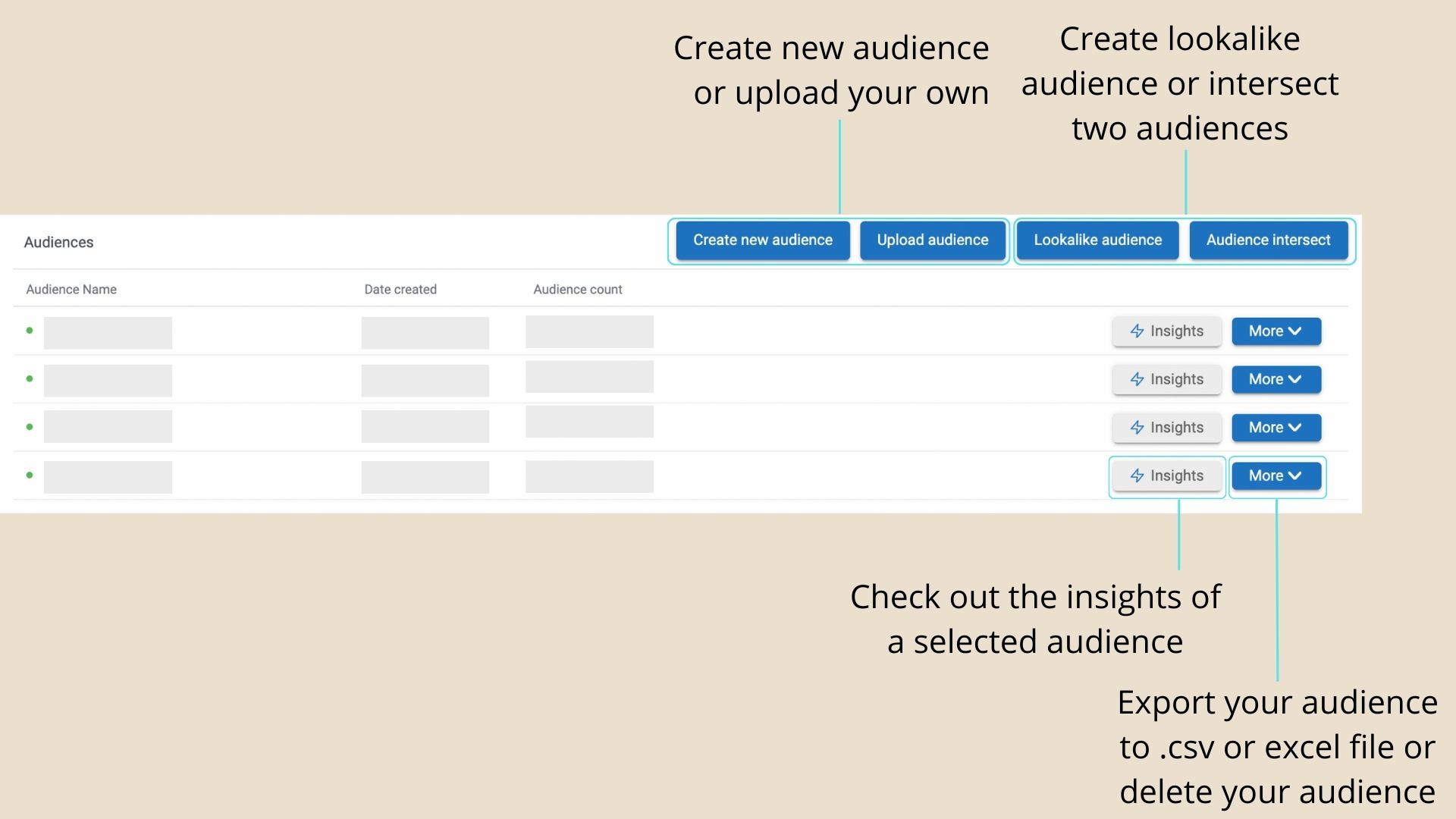 Audience_dashboard_3